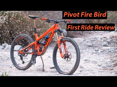 Pivot Cycles Firebird