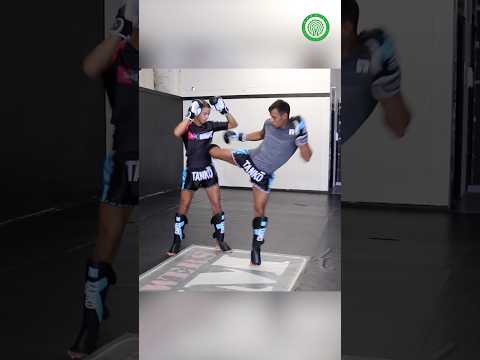 Scoring BIG Body Kicks in Muay Thai with Panicos Yusuf