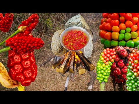 forest cooking fruits survival in Beautiful forest area Rich Fruits at up the hill @Livewildcook