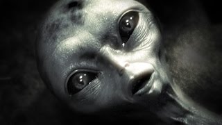 Petit gris capturé : Projet Blue Book