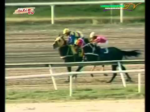 LA RINCONADA 11 CARRERA DOMINGO 28 DE DICIEMBRE DEL 2014