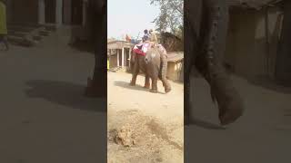 Nepal ka vlogs video// #viralvideo #nepal #vlog #trending #longvideo #shortvideos #ytshorts