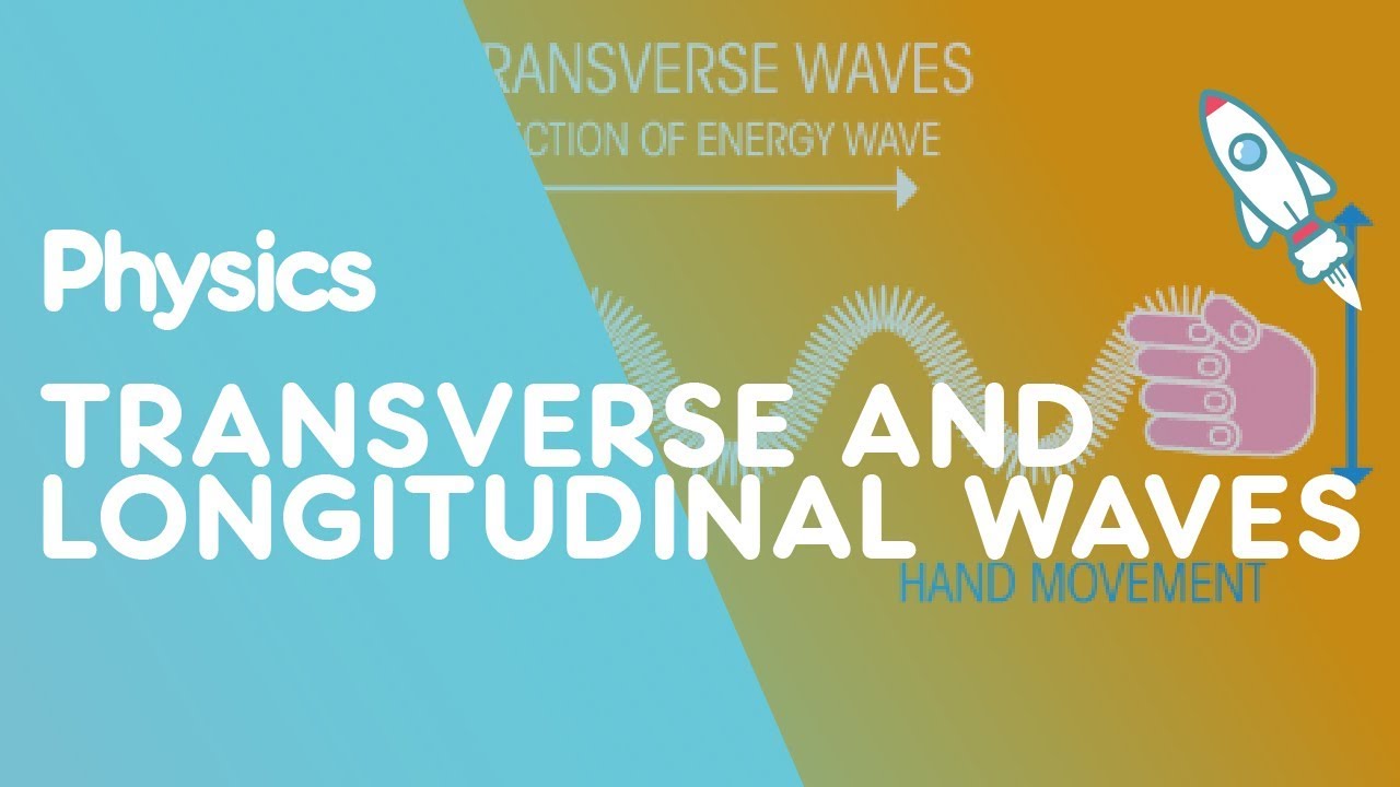 Transverse & Longitudinal Waves | Waves | Physics | FuseSchool
