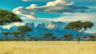 Download lagu Groovy Africa 1970s, 1980s - Driving Funky Afrobeat Vibes (afro funk, rock, disco, jazz etc.) mp3