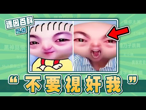 最難繃的一集⚡⚡⚡！&ldquo;不要視奸我&rdquo;是什麽迷因？【迷因百科】#不要視奸我 #周叔教表演 #蓋酷家庭 #惡搞之家 #DBD #逆轉裁判 #JOJO的奇妙冒險 #minecraft #meme #迷因