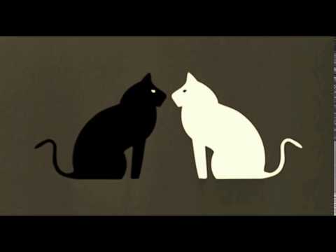 Emir Kusturica & The No Smoking Orchestra - Bubamara (Black Cat White Cat OST)