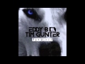 Eddy B & Tim Gunter - Underdog