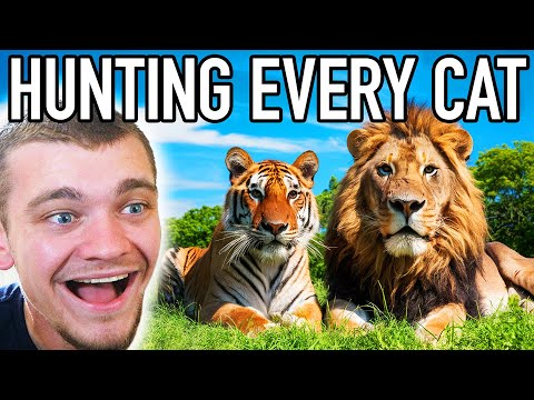 I Hunted Every Big Cat in Hunter Call of the Wild!