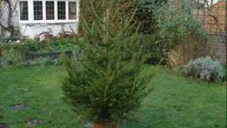 Don&#39;t Believe in Christmas