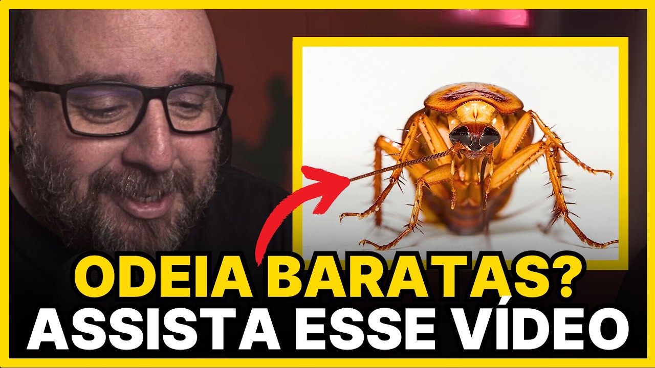 BARATAS DOMINARAM AS CIDADES E A CULPA É SUA!