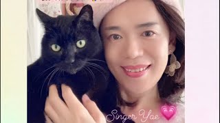 【朝ラジオ】歌『Angel』＆みーこの様子、雑談✨