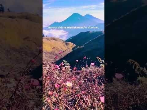 Gumintang yang G3-nit #gunungprau #wonosobo #mendakigunung #trending #videoshort