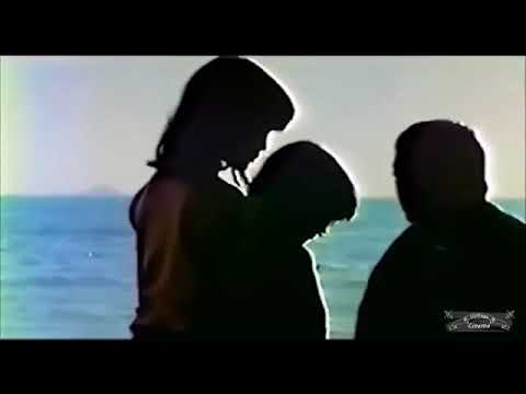 En busca del dragon dorado 1983 HiFi