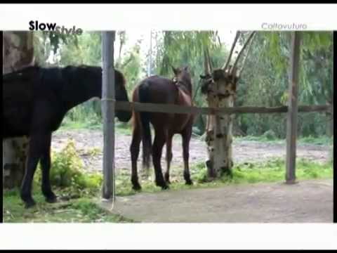 Caltavuturo - Slow Style