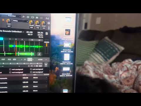 FRO YO meets Flat Earth. (Feat. Elsa & that Pirate shit) "Pitch Please" I will define what's perfect