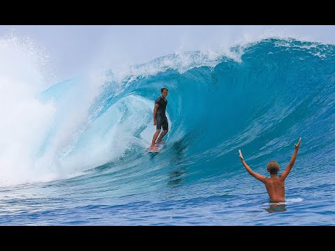 Westen Hirst | Jungle Fever