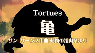 Download lagu サン=サーンス 組曲「動物の謝肉祭」より 《亀》 mp3 Download lagu サン=サーンス 組曲「動物の謝肉祭」より 《亀》 mp3