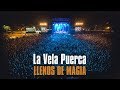La Vela Puerca - Llenos de Magia (DVD "20 Años - festejar para sobrevivir") La Vela Puerca - Llenos de Magia (DVD "20 Años - festejar para sobrevivir")