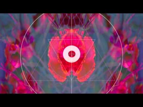 Shaparder & LRX - Rêveries (Original Mix) (Ft. Marie Beeckman)