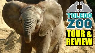 Toledo Zoo Tour & Review with The Legend