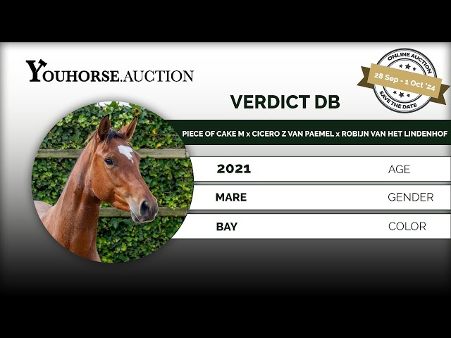 Verdict DB