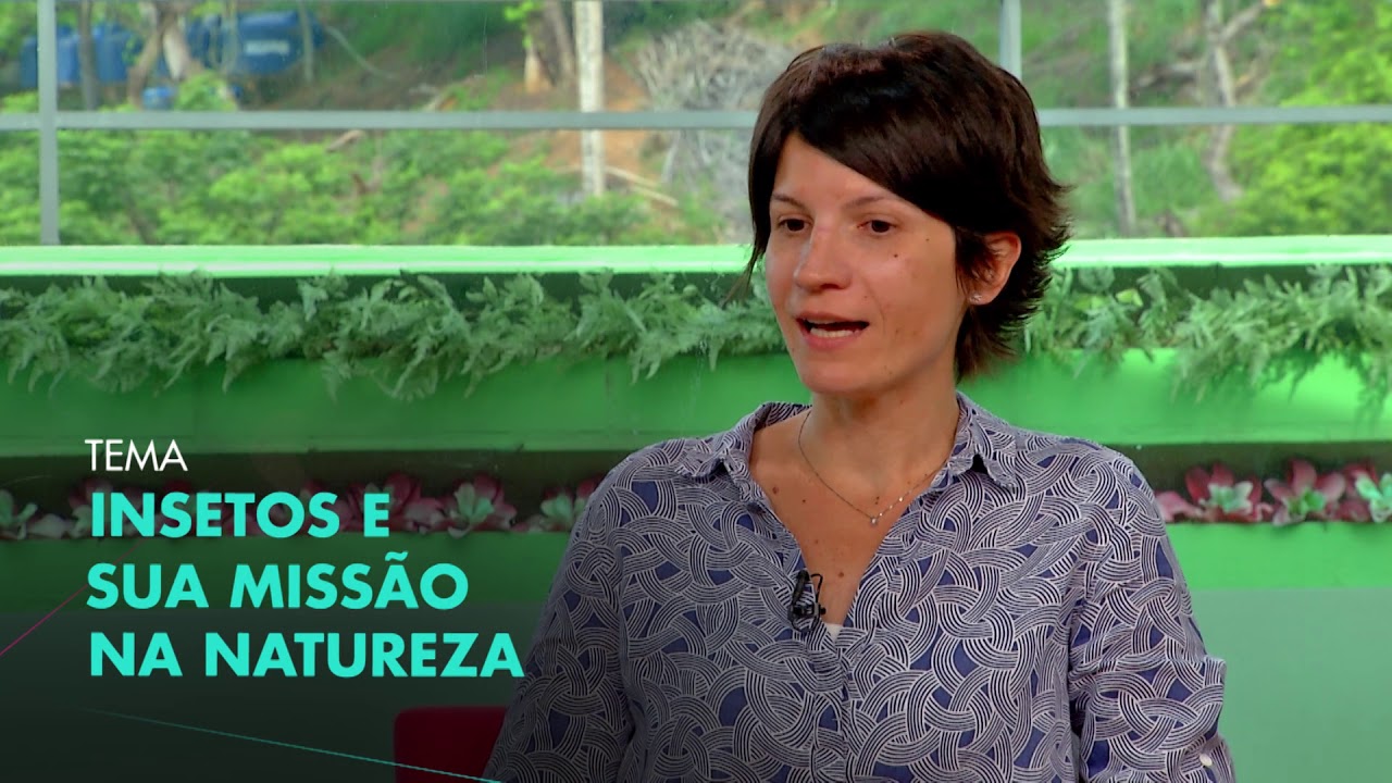 A importância dos insetos l Conexão