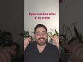 ¿Cuánto puede estar una persona en diálisis? #shorts