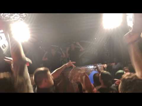 Chocolate Puma CANT BEAT THAT WITH A BAT 7.3.16