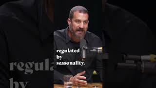 Download lagu Tools For Moderate Seasonal Depression | Dr. Andrew Huberman mp3