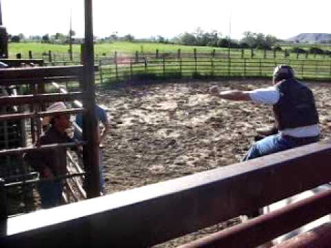 Sam's Insane Bull Ride