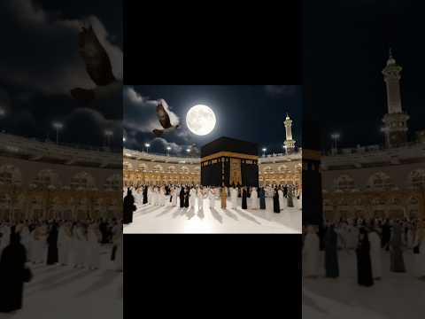 Kaaba under the Full Moon 🌙 | Makkah Live View.