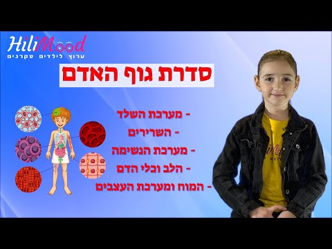 הילימוד ברצף - סדרת גוף האדם | מערכת השלד, השרירים, מערכת הנשימה, הלב וכלי הדם, המוח ומערכת העצבים
