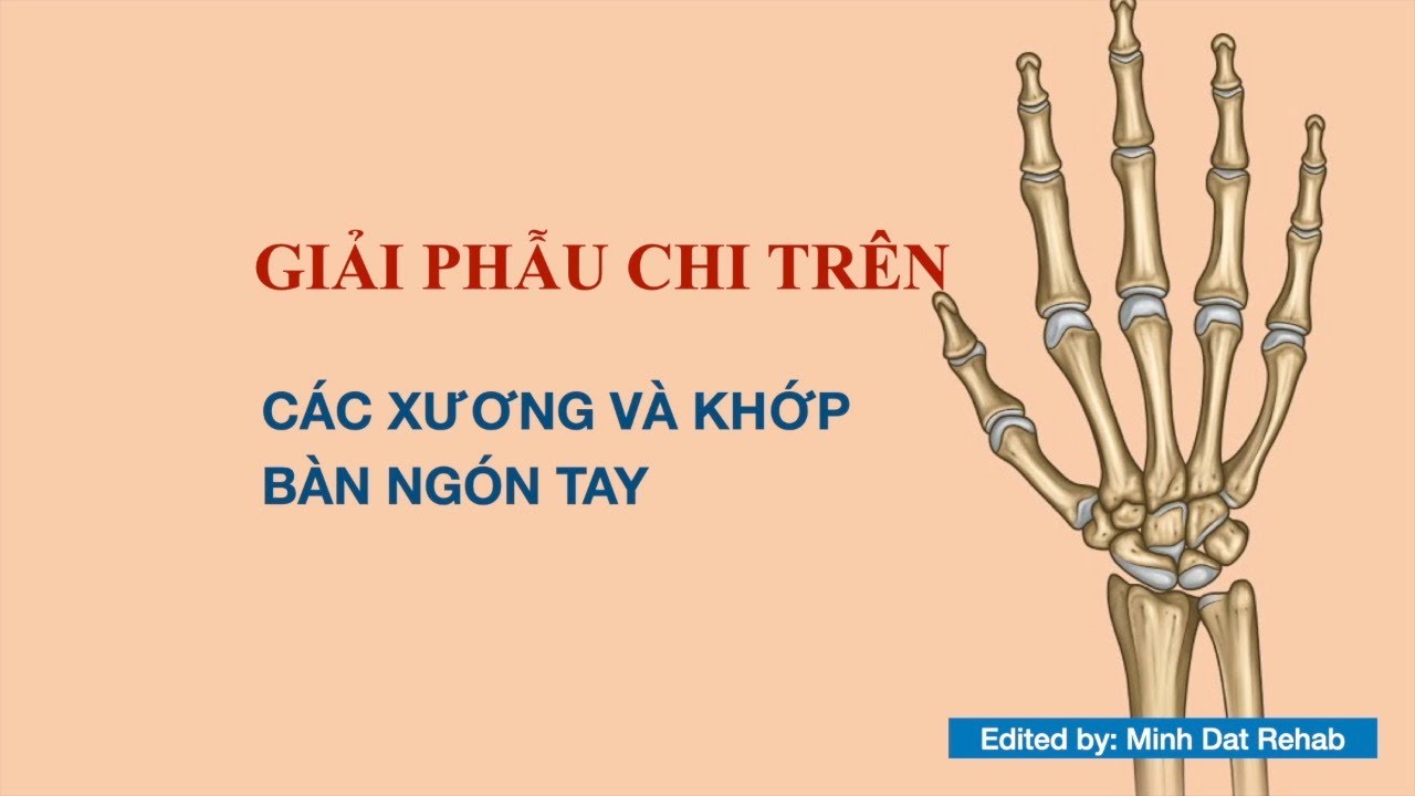 Xương khớp bàn và ngón tay
