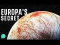 Could there be LIFE on Europa!?