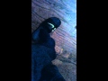 Hot Black sock walk