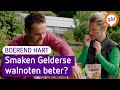 NOTEN van GELDERSE BOEREN in NEDER-NUTELLA | Boerend Hart #4