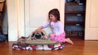 Dog expresses indifference to affectionate children