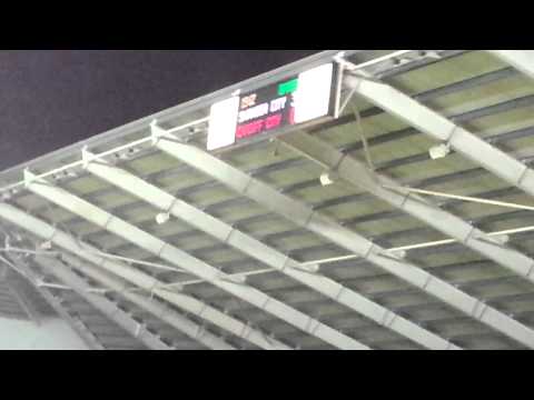 Swansea City 3-0 Cardiff City | Wilfred Bony Goal