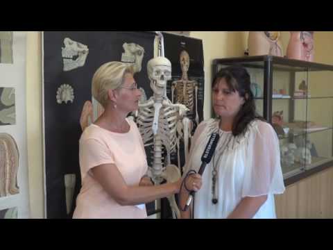 Die HEC Kamenz lädt ein - ELSTERWELLE