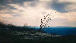 Dustin O'Halloran   Opus 22