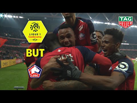 But GABRIEL (71') / LOSC - Paris Saint-Germain (5-1)  (LOSC-PARIS)/ 2018-19