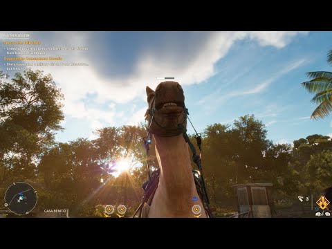 My time in Yara (0% castillo)