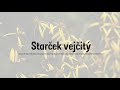 052 PKL Starček Vejčitý