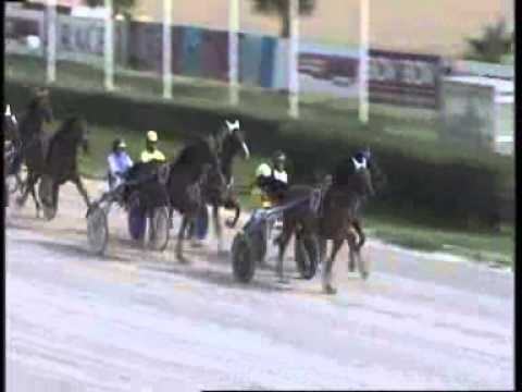 www kennethvella com Meeting (12) Date 22-3-2015 Race 1,2,3,4,5,6,7,8