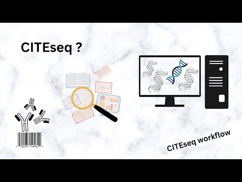CITEseq Introduction and Workflow | molecular biology | RNAseq | NGS