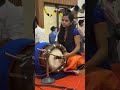 Amirthavarshini Manishankar Thavil Happy To Perform With My Guru ️