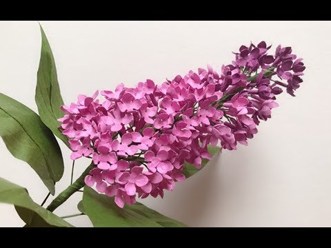 ABC TV | How To Make Lilac Paper Flower With Shape Punch - Craft Tutorial