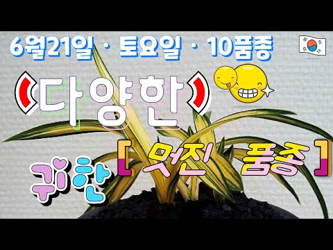 유튜브 썸네일