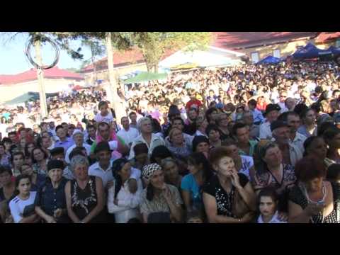 cuvantul prefectului si al ministrului - Ziua Bradului - Livezi, Bacau - 2011.mpg