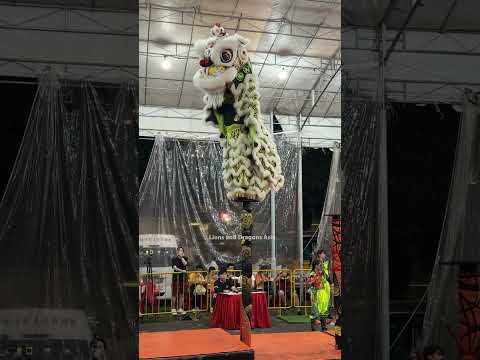 Lion Dance  Singapore Teng Ghee Athletic Association